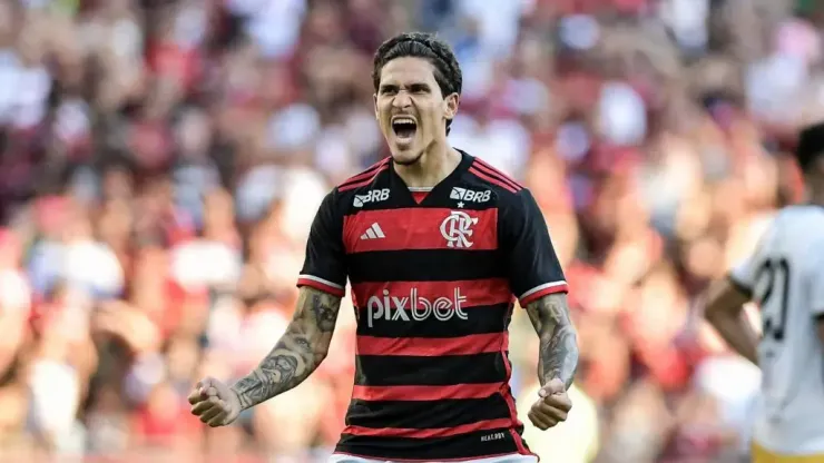 pedro flamengo exaltado pela torcida