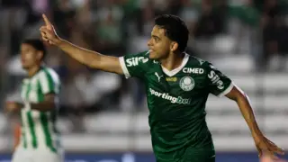 Bruno Rodrigues