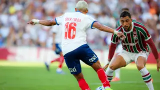 Bahia Erick Pulga